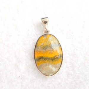 Pendant / Bumble bee jasper / sterling silver